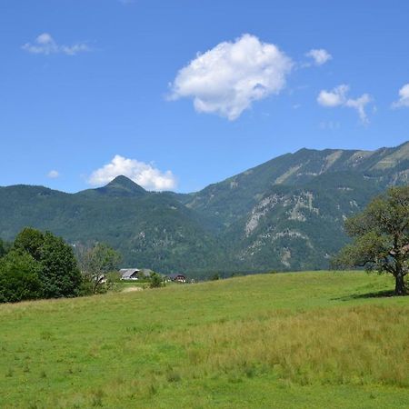 Coralie Apartment Strobl Luaran gambar