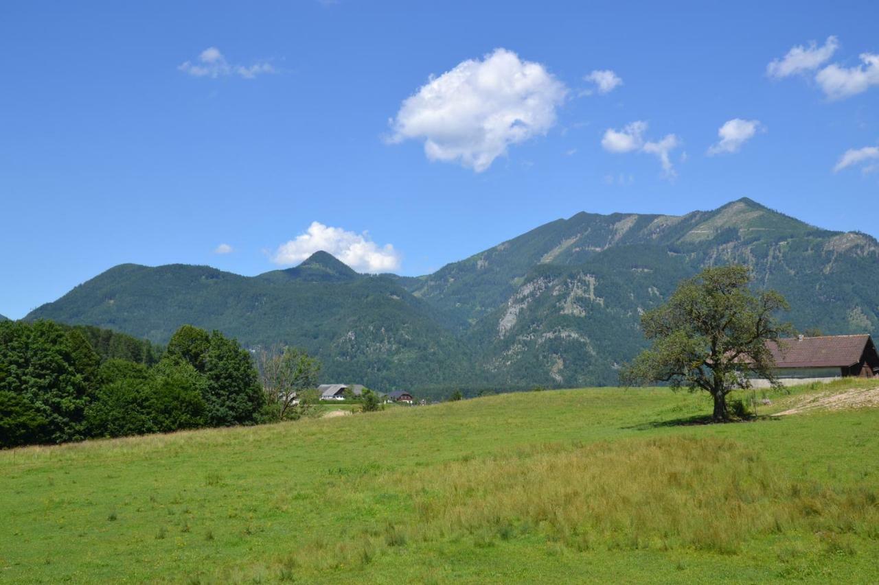 Coralie Apartment Strobl Luaran gambar